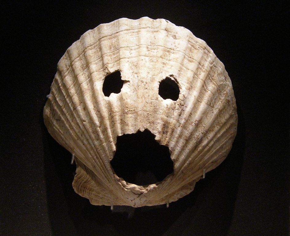 Coquille - Musée national de Séoul - Photo Pelletier